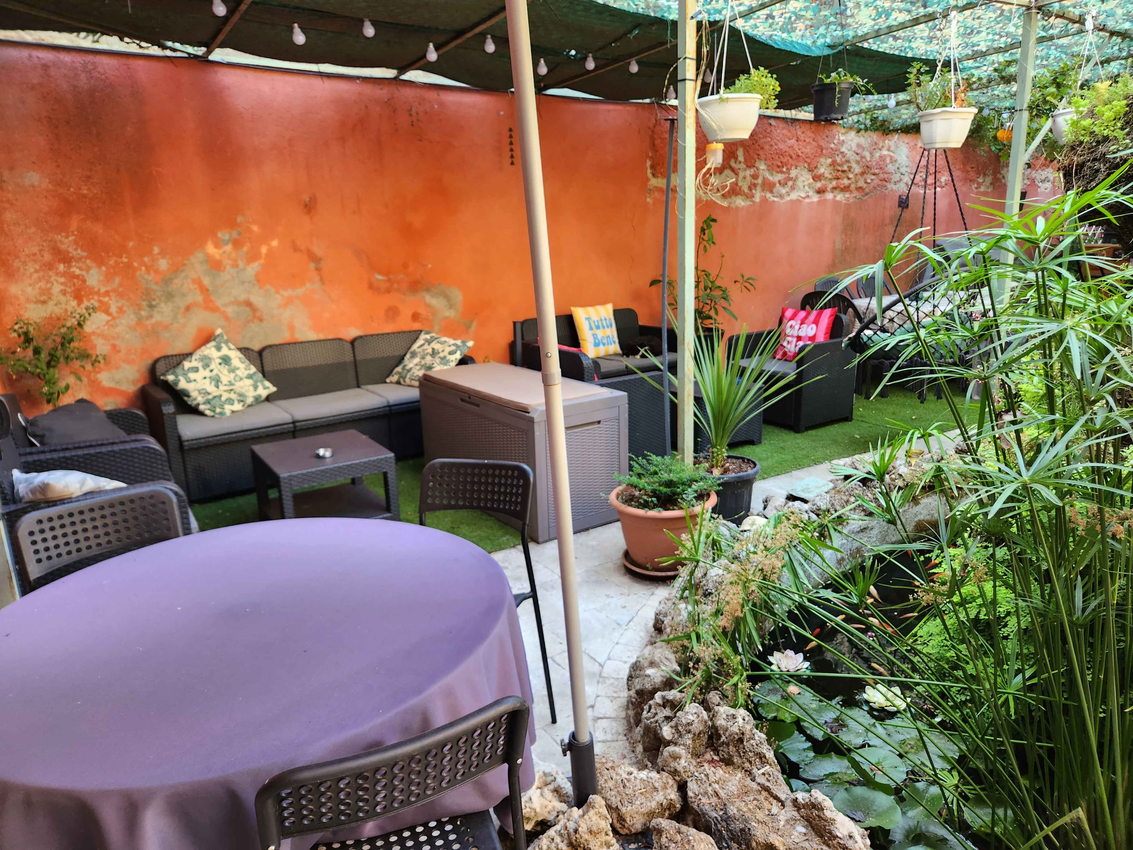Le jardin intérieur et son bassin (2/13)