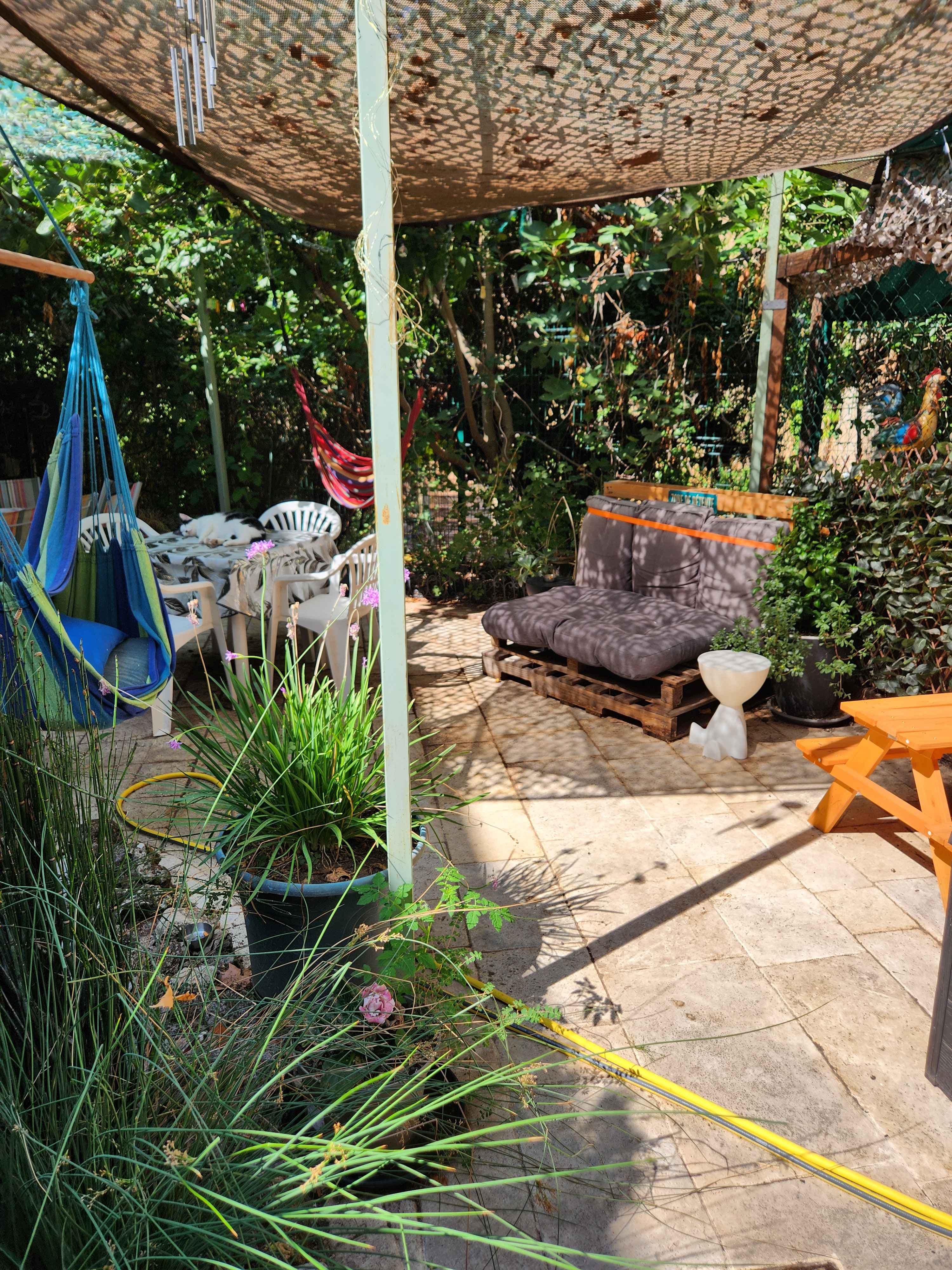 Le jardin intérieur et son bassin (3/13)