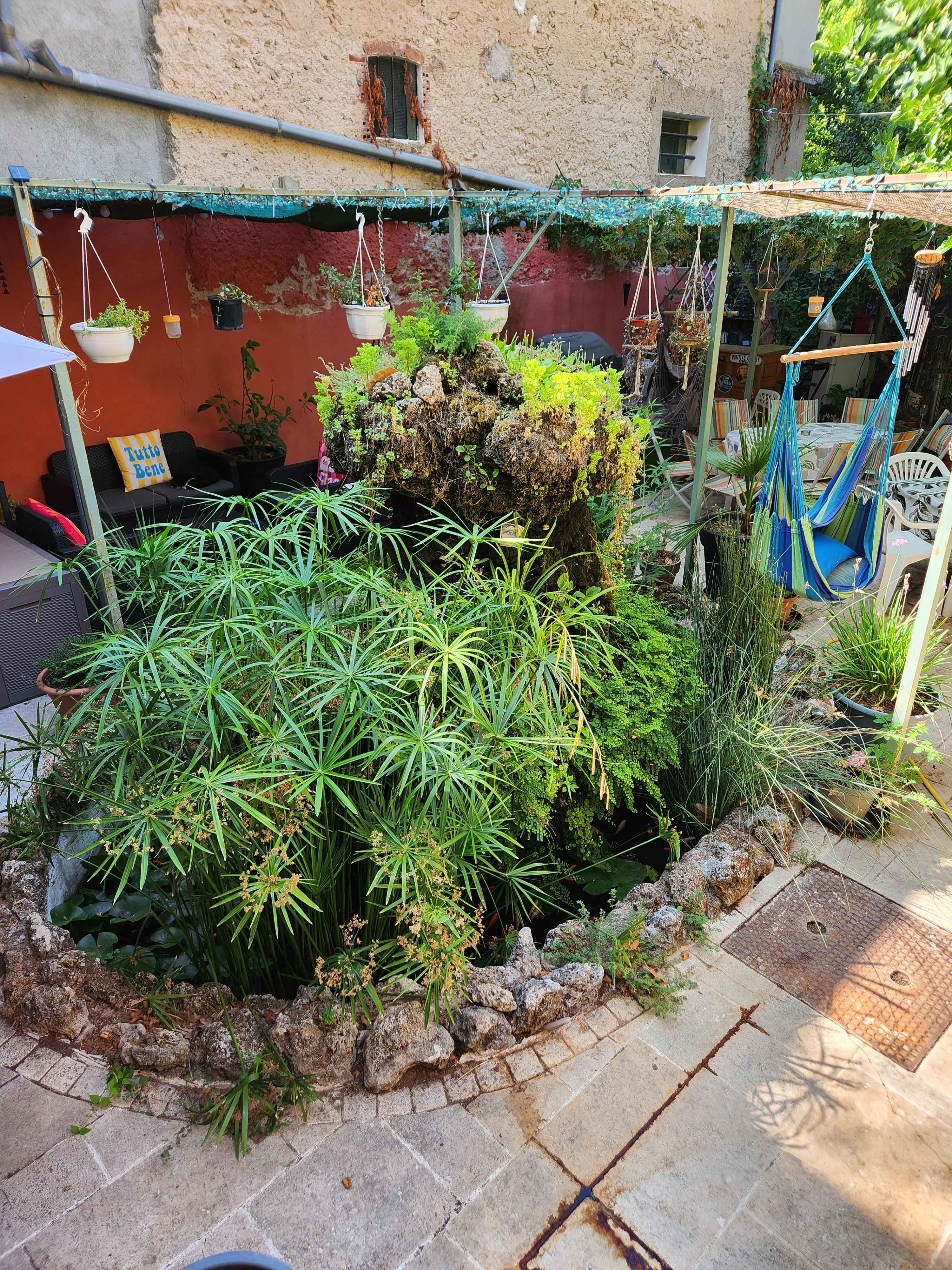 Le jardin intérieur et son bassin (1/13)